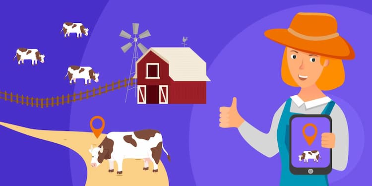 Smarter Technologies Smart Farm Management